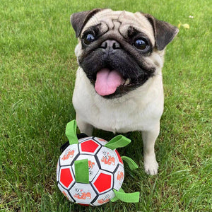 Unleash Fun and Bonding with Our Dog Football Bite-resistant Toy