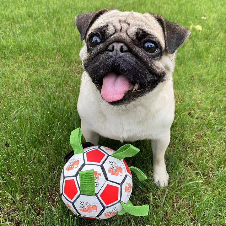 Unleash Fun and Bonding with Our Dog Football Bite-resistant Toy