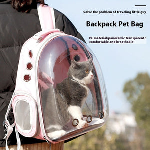 Why Your Pet Deserves the Best Travel Backpack