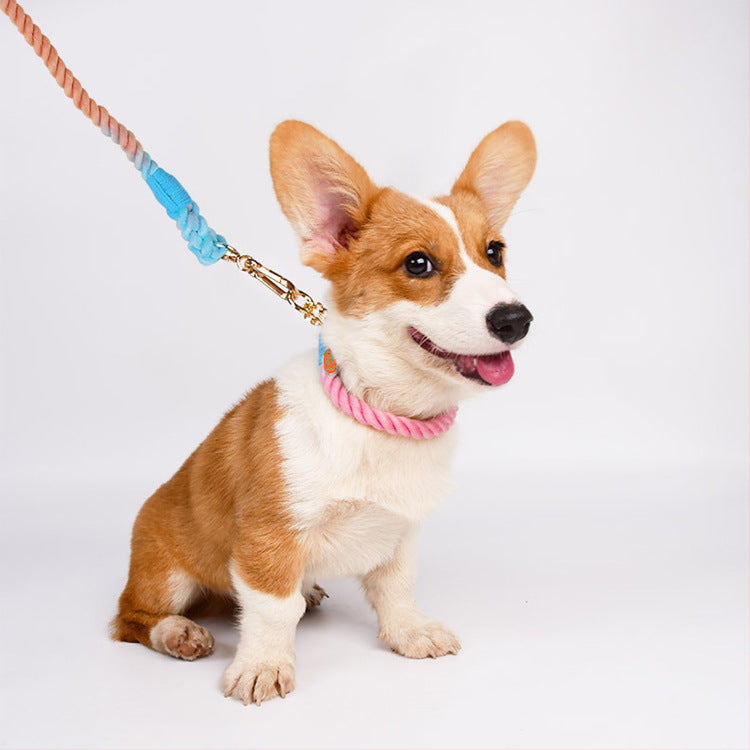 Woven Cotton Pet Collar And Leash Set Walking Control