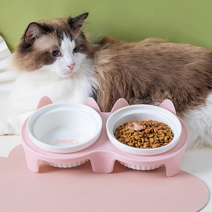Ceramic Double Elevated Pet Feeding Water Bowl