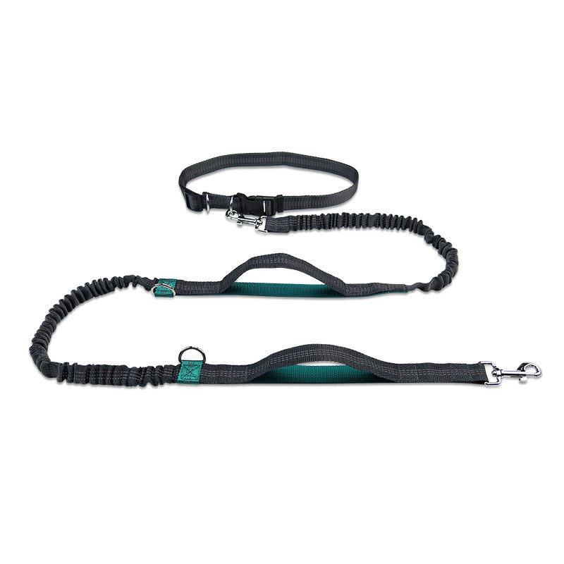 Multifunctional Reflective Double Pet Leash With Telescopic Design