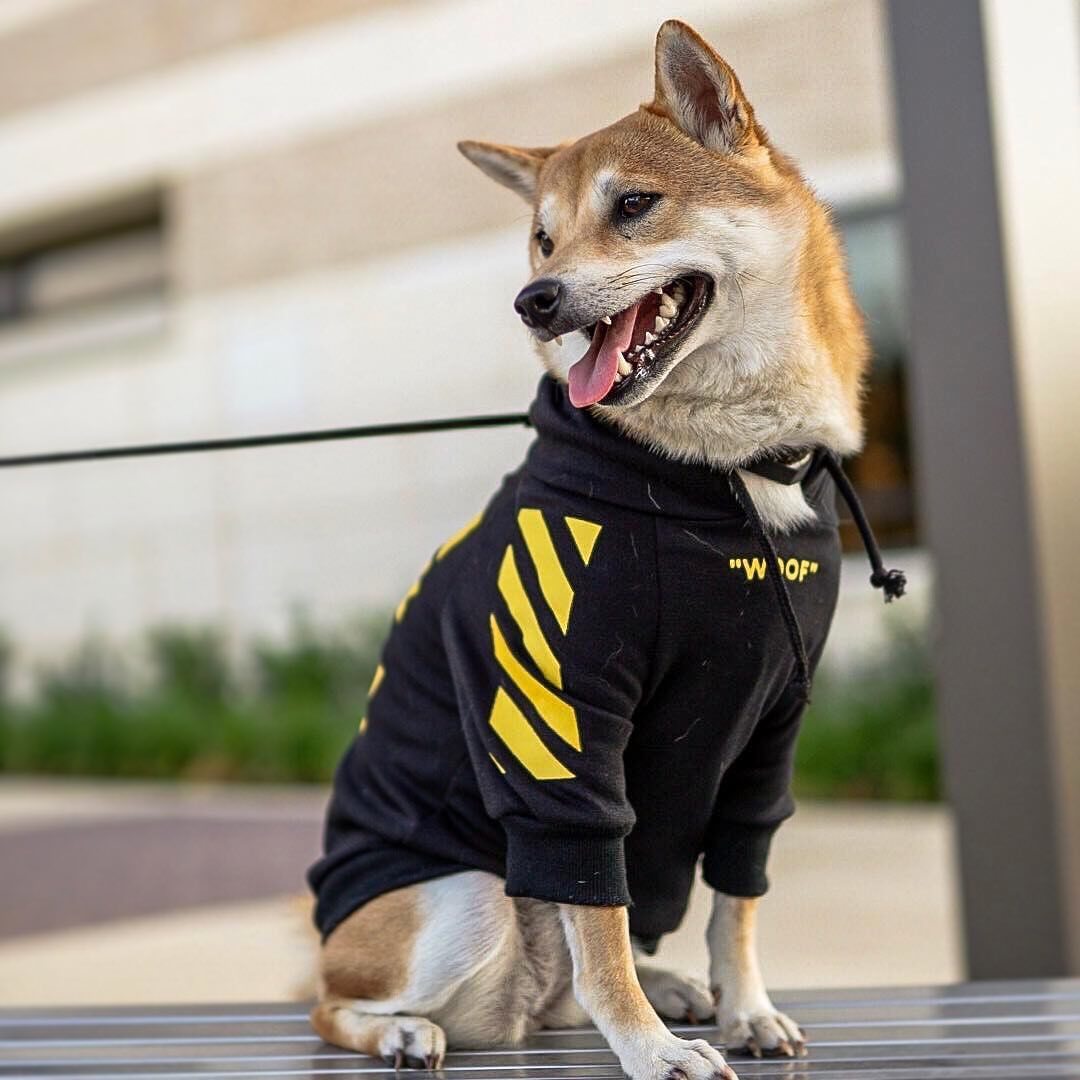 Three Stripe Pet Sweater Fashion Sports Autumn Winter Wear