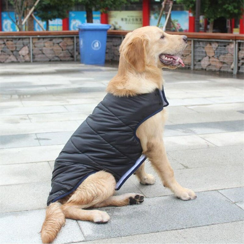 Winter Cotton Warm Pet Coat Clothing Jacket