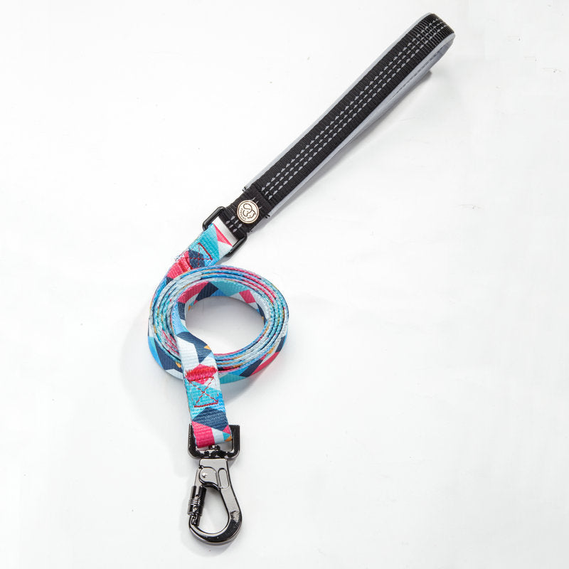 Pet Leash Durable Walking Control Rope