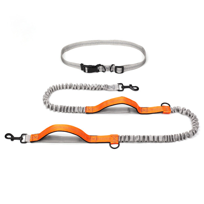 Outdoor Running Pet Leash Training Walking Rope