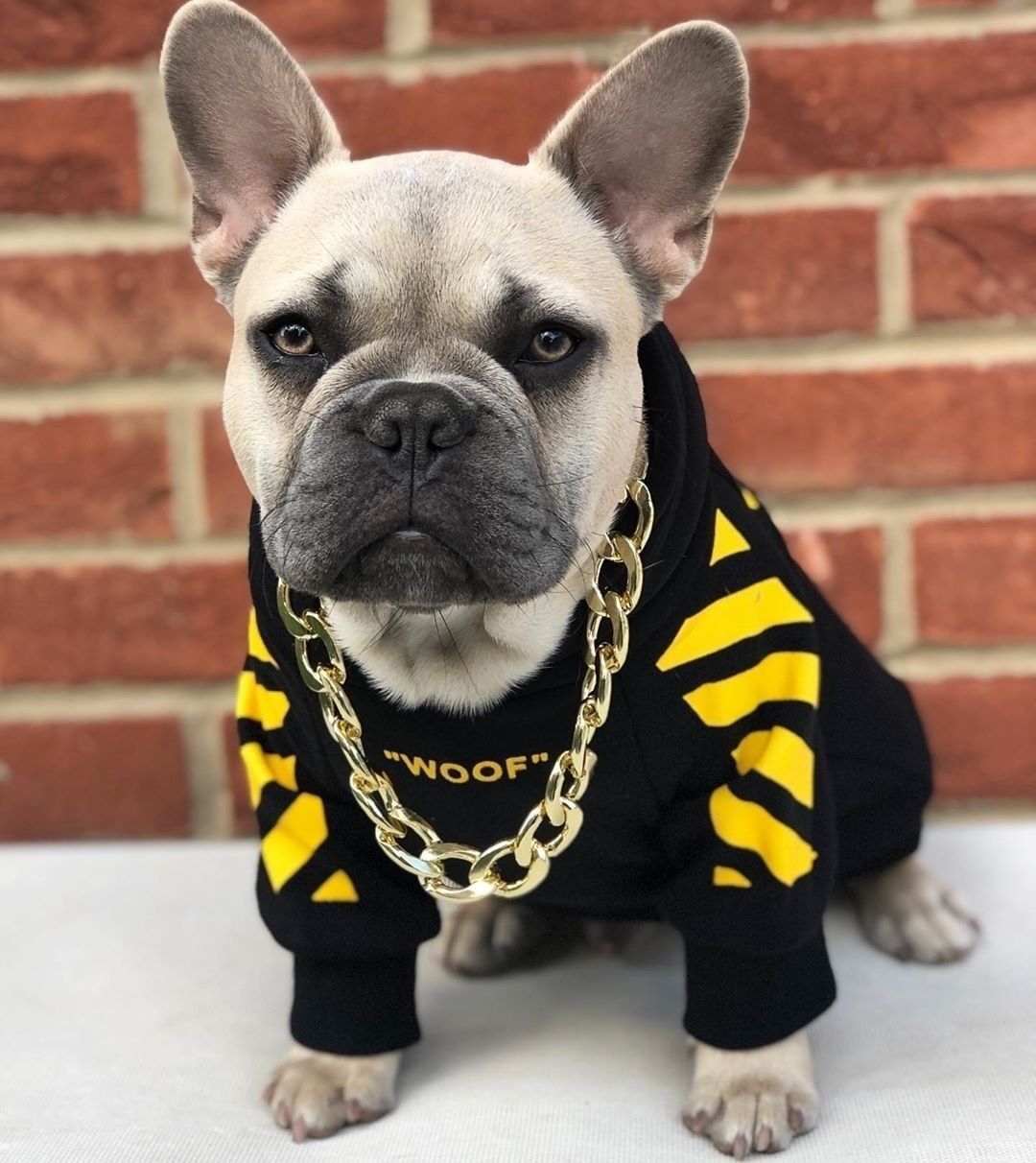 Three Stripe Pet Sweater Fashion Sports Autumn Winter Wear