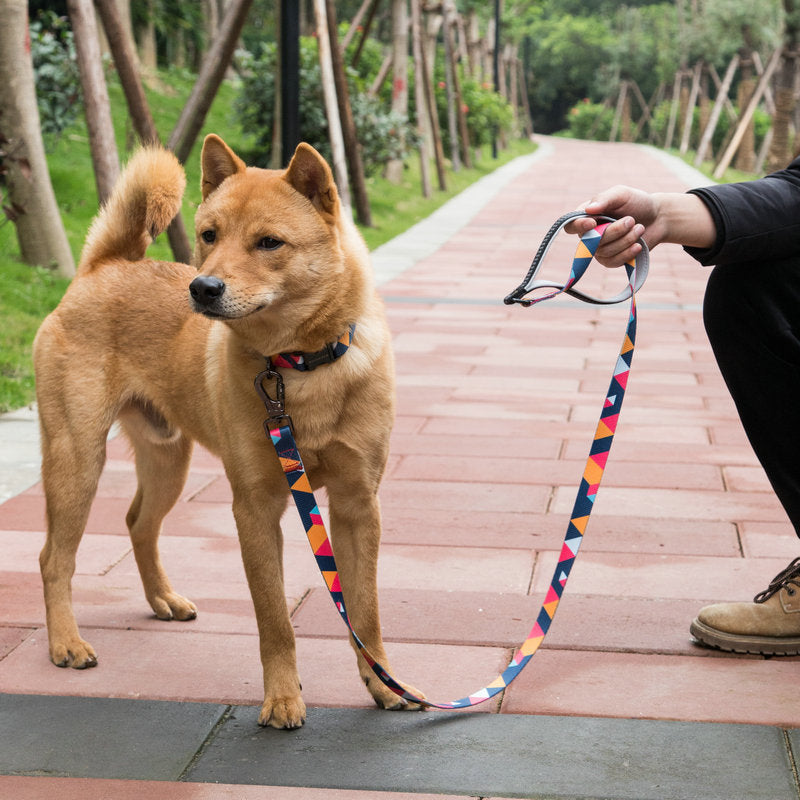 Pet Leash Durable Walking Control Rope