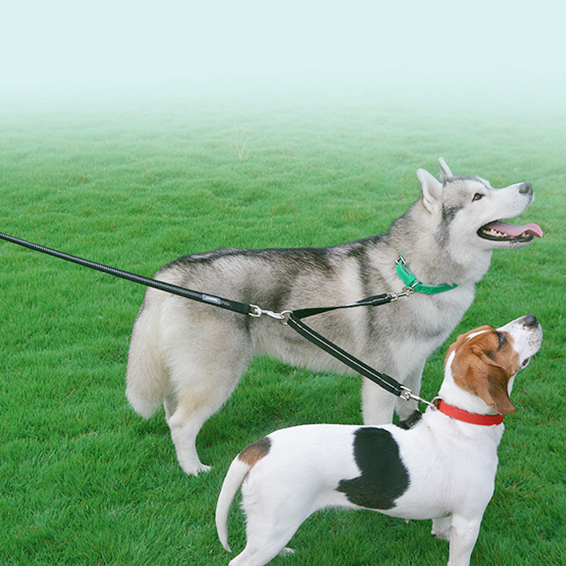 Double-Headed Reflective Nylon Pet Leash Dual Control Walking Rope