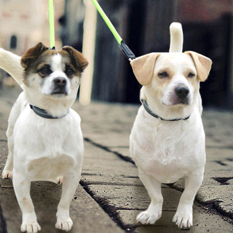 Double-Headed Reflective Nylon Pet Leash Dual Control Walking Rope