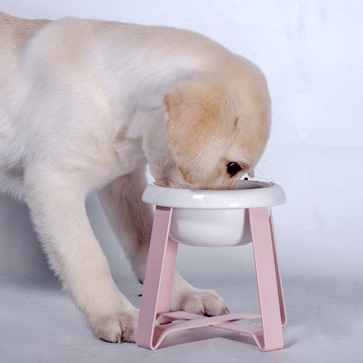 Anti Slip Pet Feeding Bowl With Iron Stand 2 In 1 Design