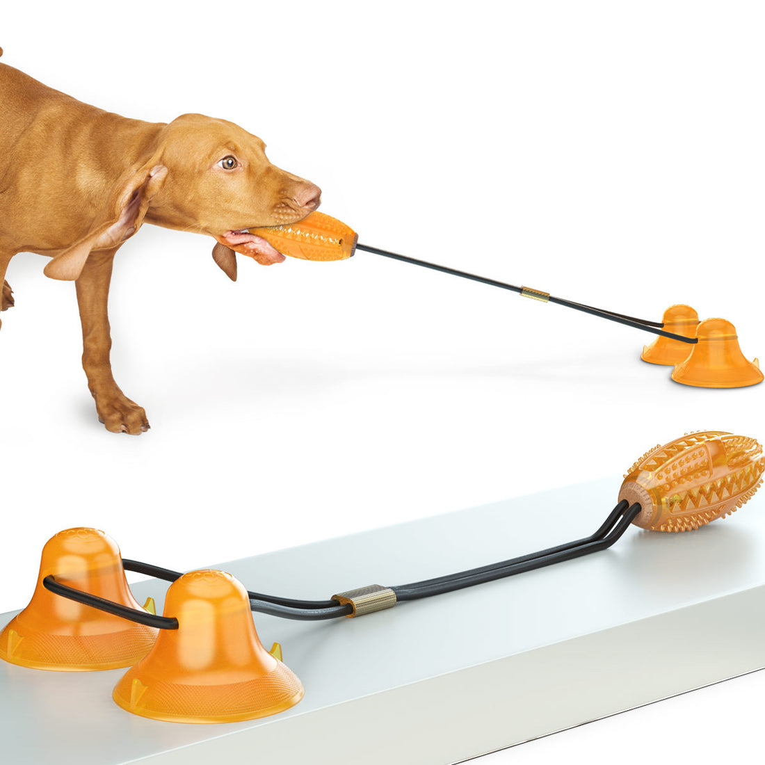 Multifunction Double Tug Rope Ball Sucker Bite Resistant Pet Toy