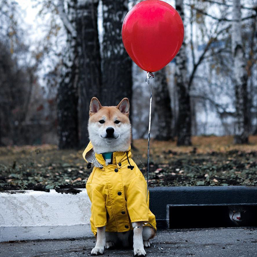 Windproof Rainproof Retro Pet Padded Raincoat Jacket