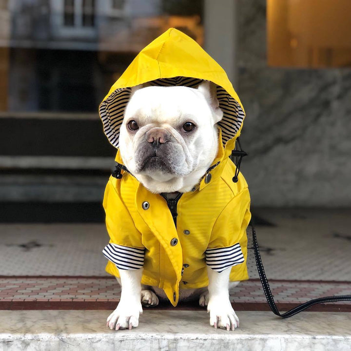 Windproof Rainproof Retro Pet Padded Raincoat Jacket