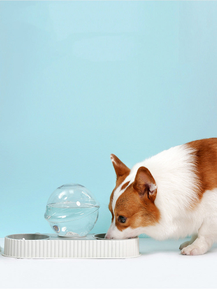 Automatic Plastic Pet Food And Water Feeder Bowl