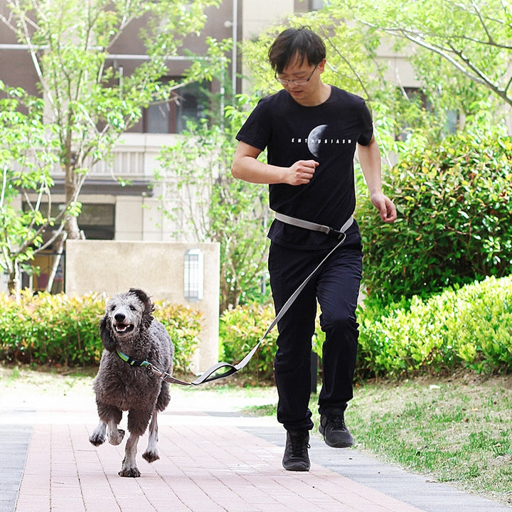 1.8M Multifunctional Pet Leash For Running And Walking