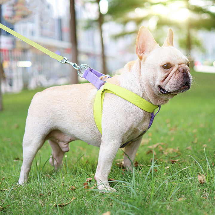 Color Drawstring Vest-Style Pet Leash Walking Control