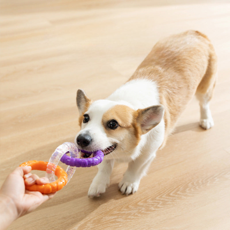 Floating Water Flying Disc Interactive Training Pet Toy Ring