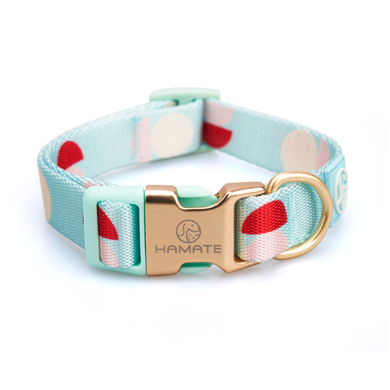 Fashion Y-Shaped Chest Strap Pet Leash Outdoor Control