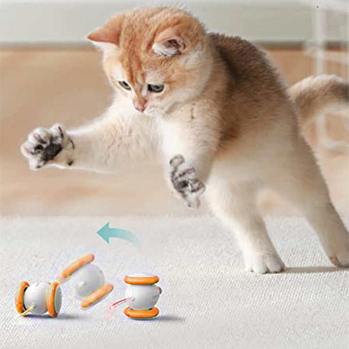 Electric Intelligent Interactive Rechargeable Teasing Pet Toy