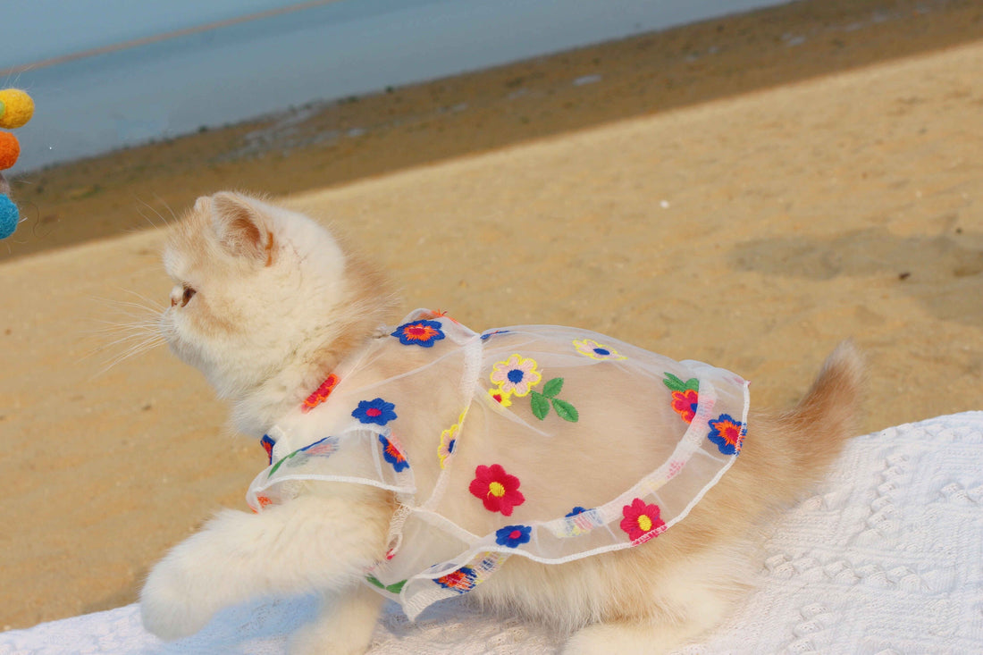 Mesh Embroidered Flower Pet Dress For Small Animals Wear