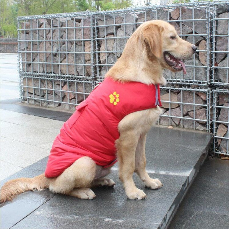 Winter Cotton Warm Pet Coat Clothing Jacket