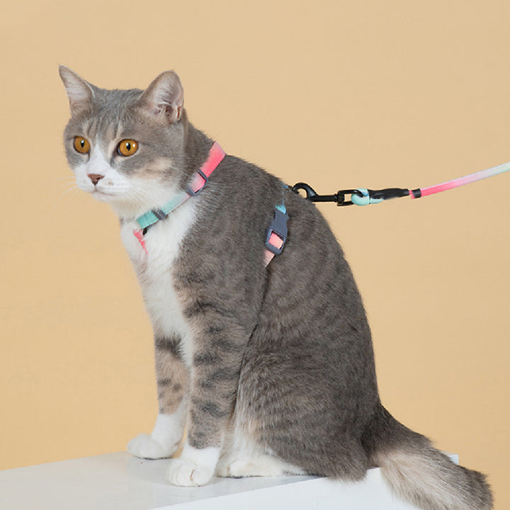 Fashion Anti-Escape Pet Leash Secure Walking Control