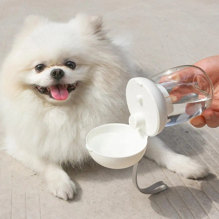 Portable Pet Water Bottle Travel Drinking Cup Bowl With Lanyard