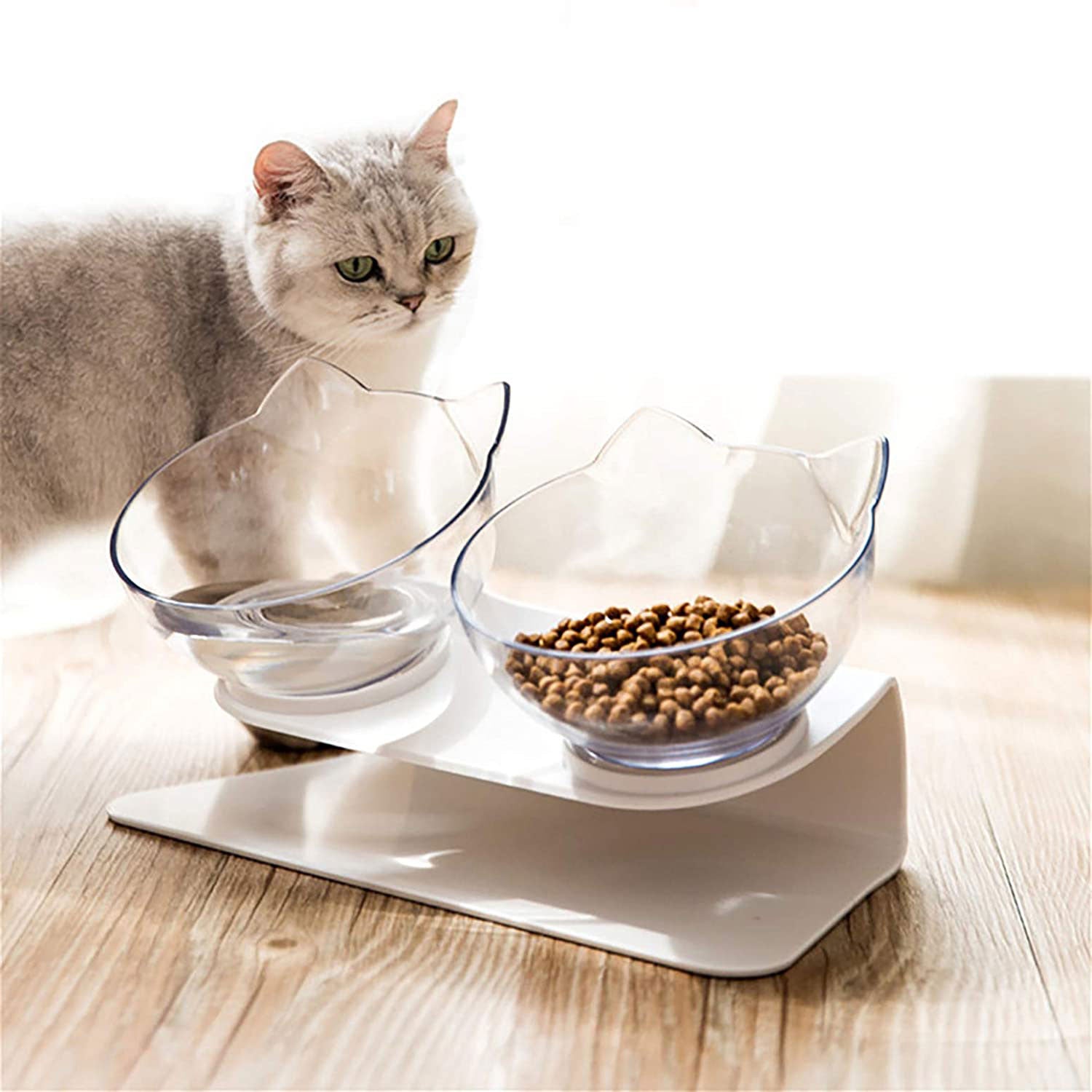 Non Slip Double Pet Bowl With Raised Stand Design