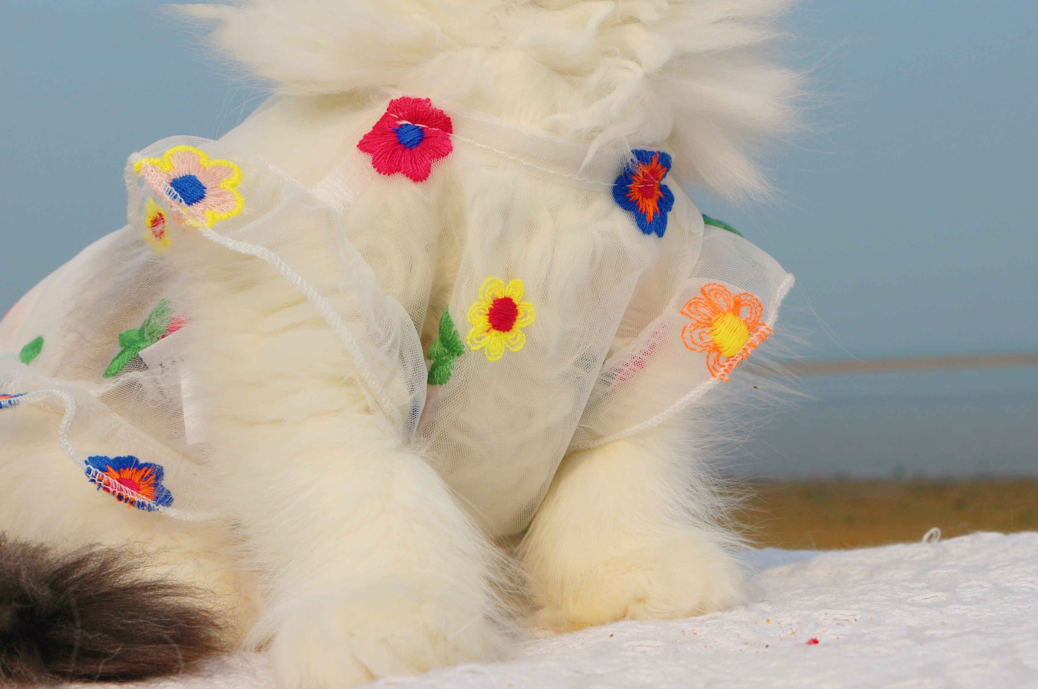 Mesh Embroidered Flower Pet Dress For Small Animals Wear