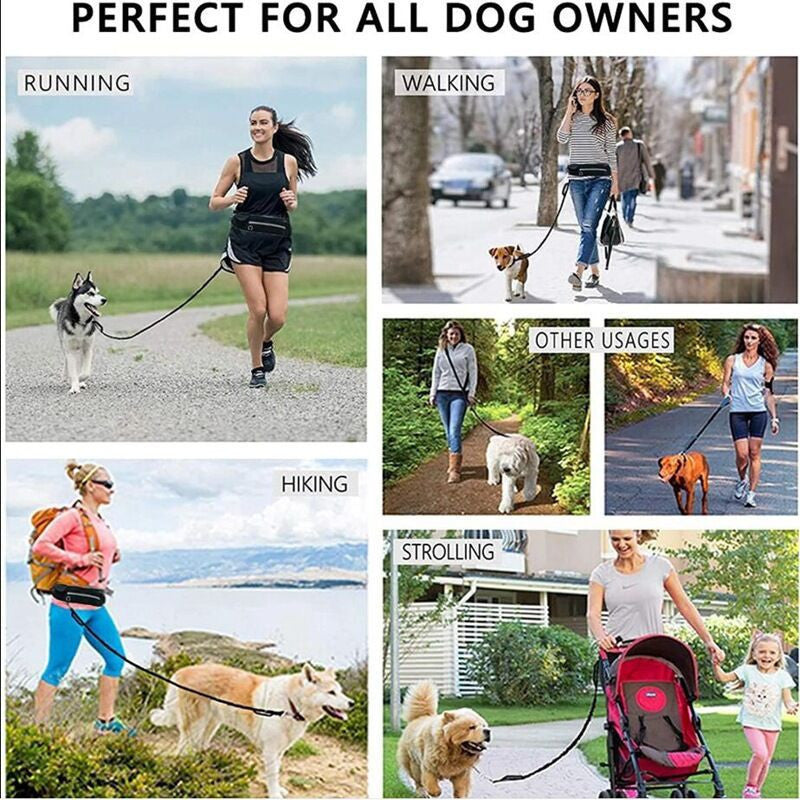 Pet Purse Leash For Convenient Hands Free Walking