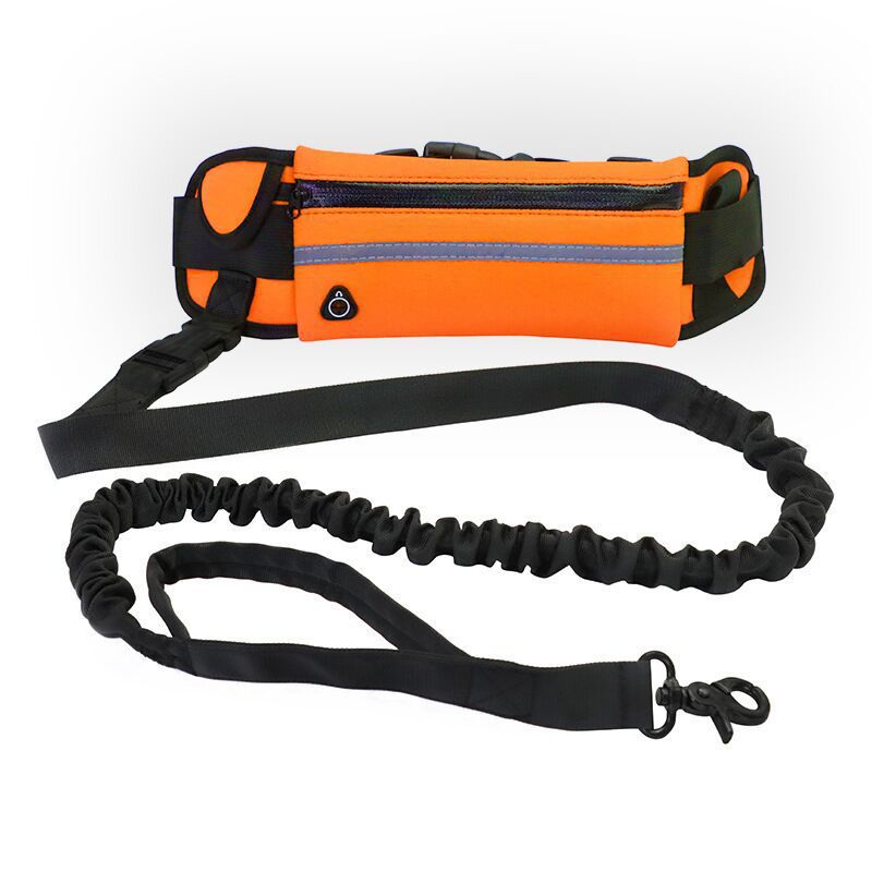 Pet Purse Leash For Convenient Hands Free Walking