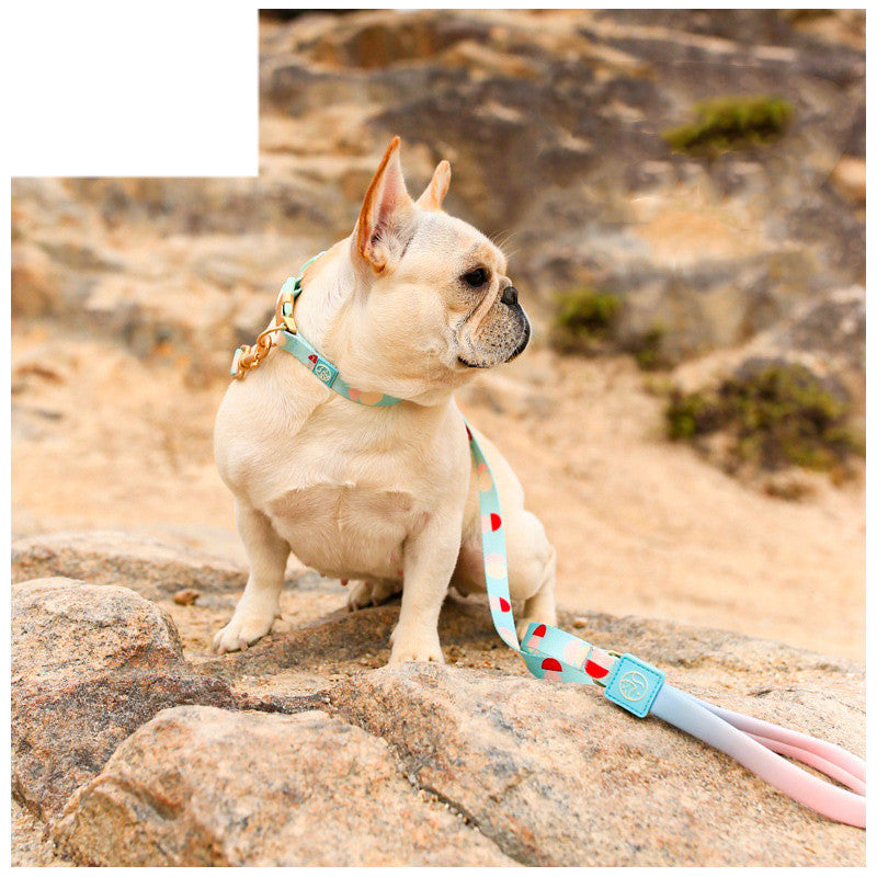Fashion Y-Shaped Chest Strap Pet Leash Outdoor Control