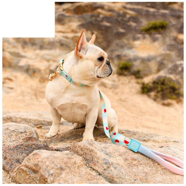 Fashion Y-Shaped Chest Strap Pet Leash Outdoor Control
