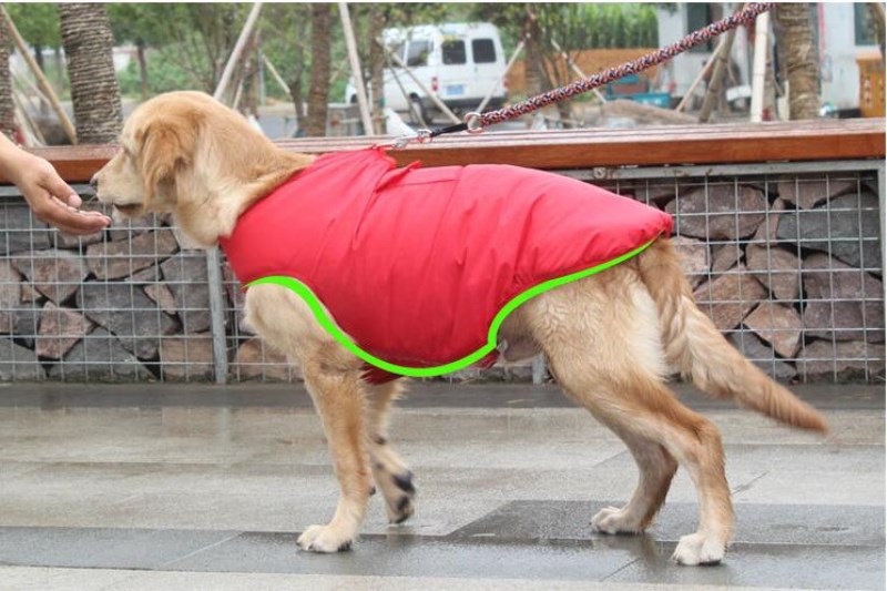 Winter Cotton Warm Pet Coat Clothing Jacket