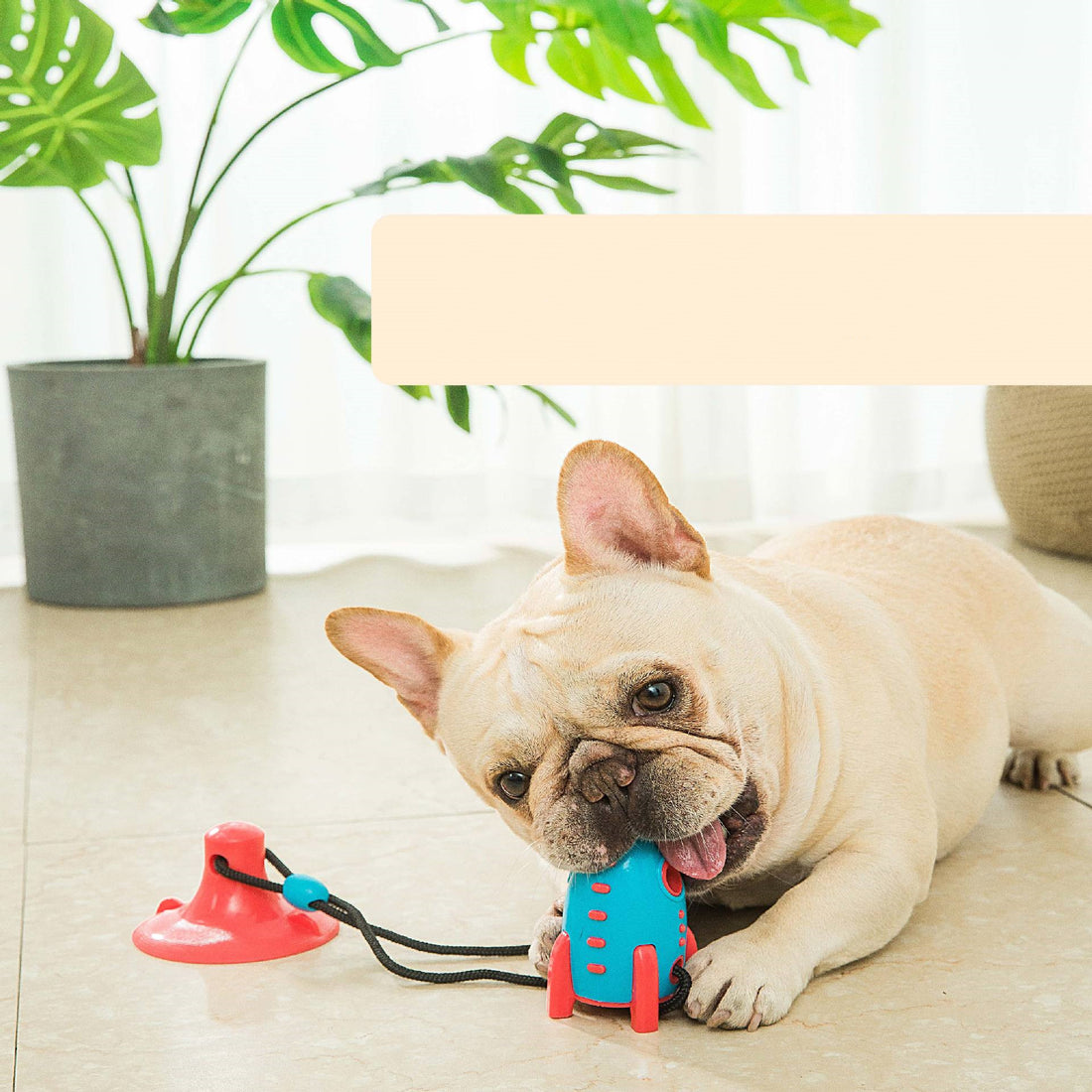 Rocket Shape Food Dispensing Bite Resistant Interactive Pet Toy