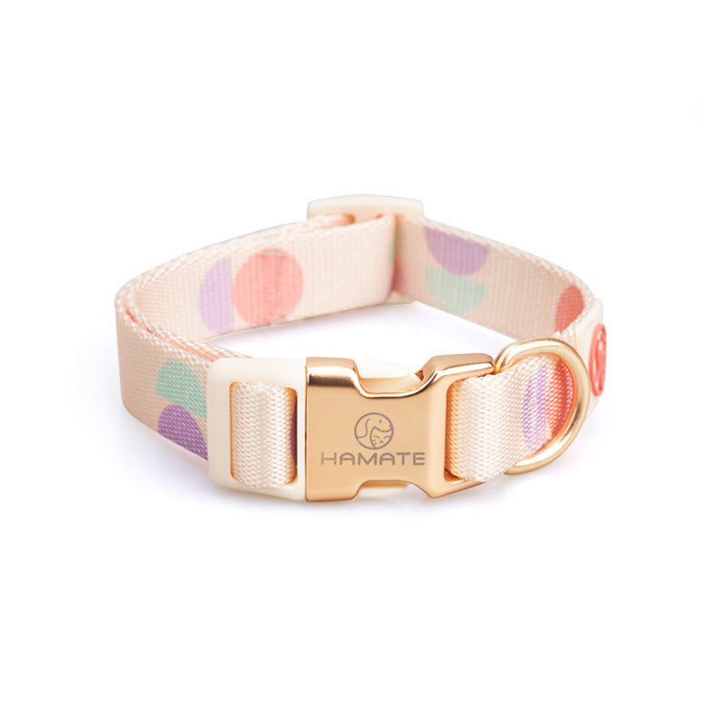 Fashion Y-Shaped Chest Strap Pet Leash Outdoor Control