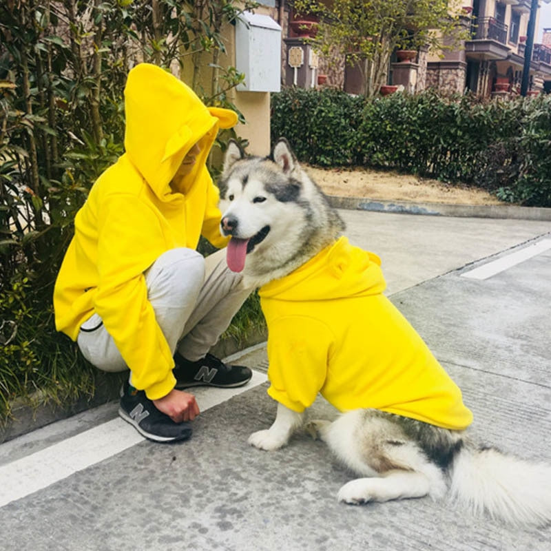 Four Seasons Pet Sweater All Weather Clothing Outfit