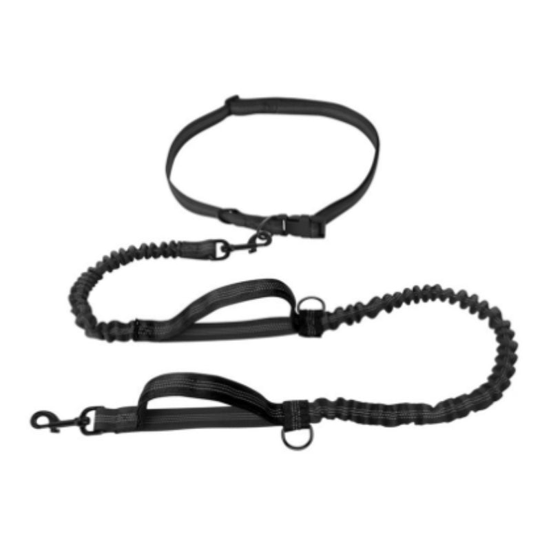Multifunctional Reflective Double Pet Leash With Telescopic Design