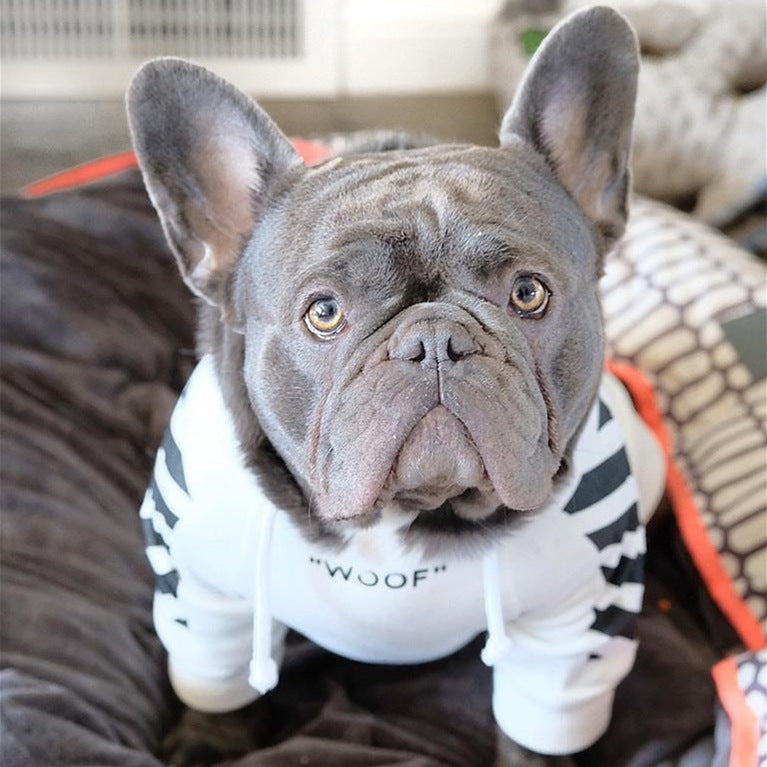 Three Stripe Pet Sweater Fashion Sports Autumn Winter Wear