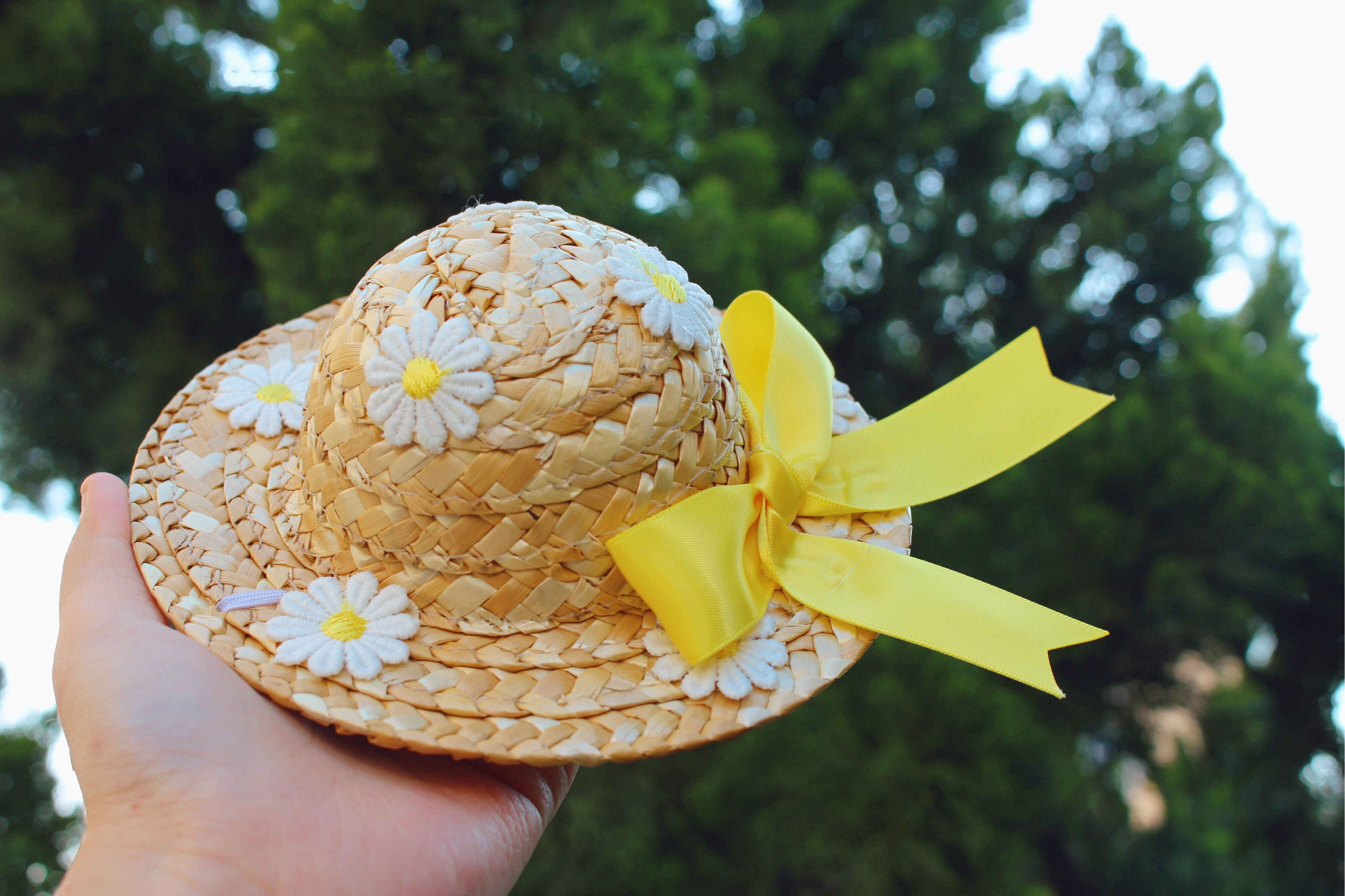 Mesh Embroidered Flower Pet Dress For Small Animals Wear