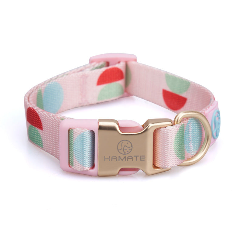 Fashion Y-Shaped Chest Strap Pet Leash Outdoor Control