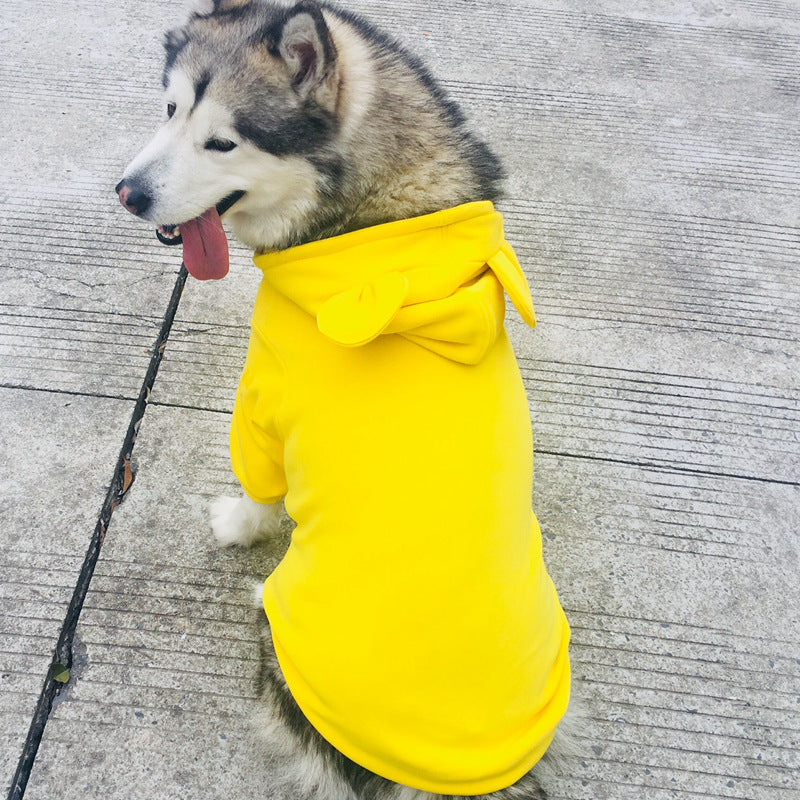 Four Seasons Pet Sweater All Weather Clothing Outfit