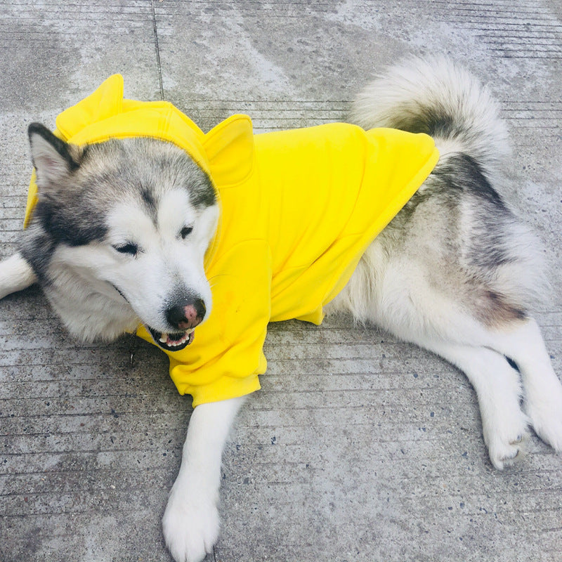 Four Seasons Pet Sweater All Weather Clothing Outfit