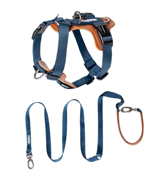 Multifunctional Explosion-Proof Pet Rope Leash Chest Strap
