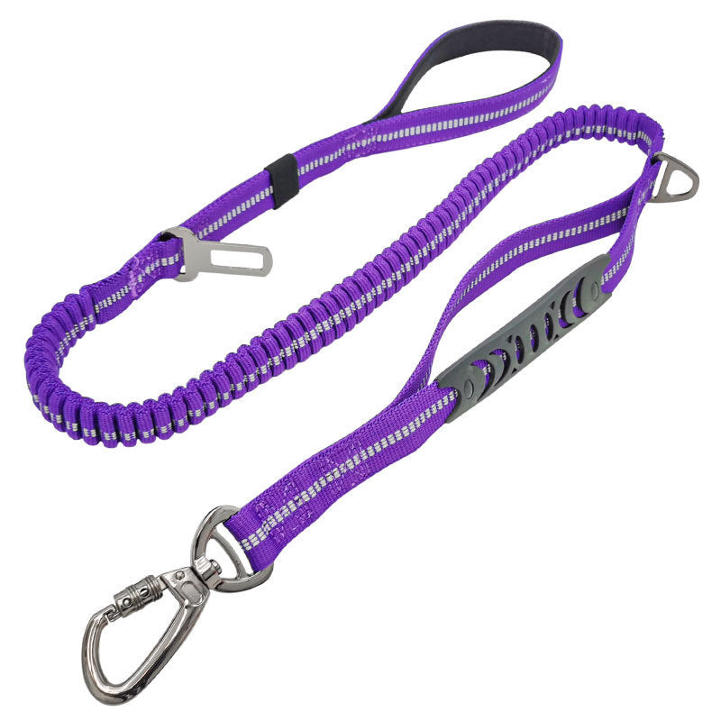Fashion Retractable Rope Pet Leash Control Walking Lead