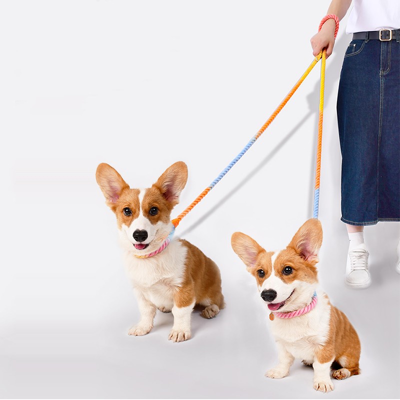 Dual Head Multifunctional Pet Leash For Walking Control