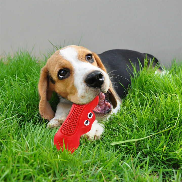 Interactive Vocal Pet Toy Natural Rubber Bite Resistant Chew Toy
