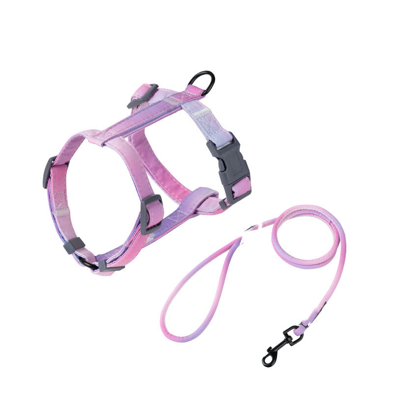 Fashion Anti-Escape Pet Leash Secure Walking Control