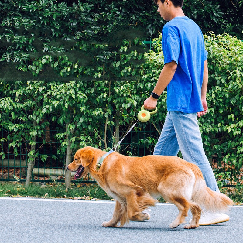 Reflective Retractable Pet Leash Safety Walking Rope